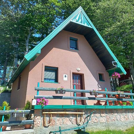 Vila Darija Žabljak Exterior foto